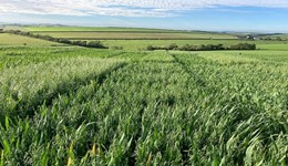 Lauder: Scotland Agronomy Roadshow in partnership with AHDB, SRUC and FAS